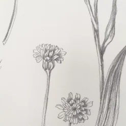 GoodHome Conyza Grey & White Floral Textured Wallpaper -Trade Points goodhome conyza grey white floral textured wallpaper3663602561392 37c