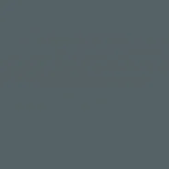 GoodHome Mid Grey Gloss Multi-surface Furniture Wood Varnish, 750ml 10 GoodHome Mid Grey Gloss Multi-surface Furniture Wood Varnish, 750ml -Trade Points goodhome mid grey gloss multi surface furniture wood varnish 750ml5059340486925 36c