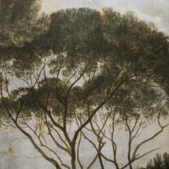 GoodHome Triphan Multicolour Trees Matt Mural 11 GoodHome Triphan Multicolour Trees Matt Mural -Trade Points goodhome triphan multicolour trees matt mural5059340471167 36c