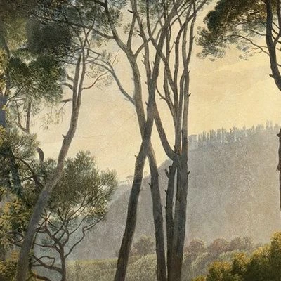 GoodHome Triphan Multicolour Trees Matt Mural 5 GoodHome Triphan Multicolour Trees Matt Mural - Image 3